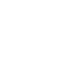 Ilość wypozycjonowanych stron internetowych